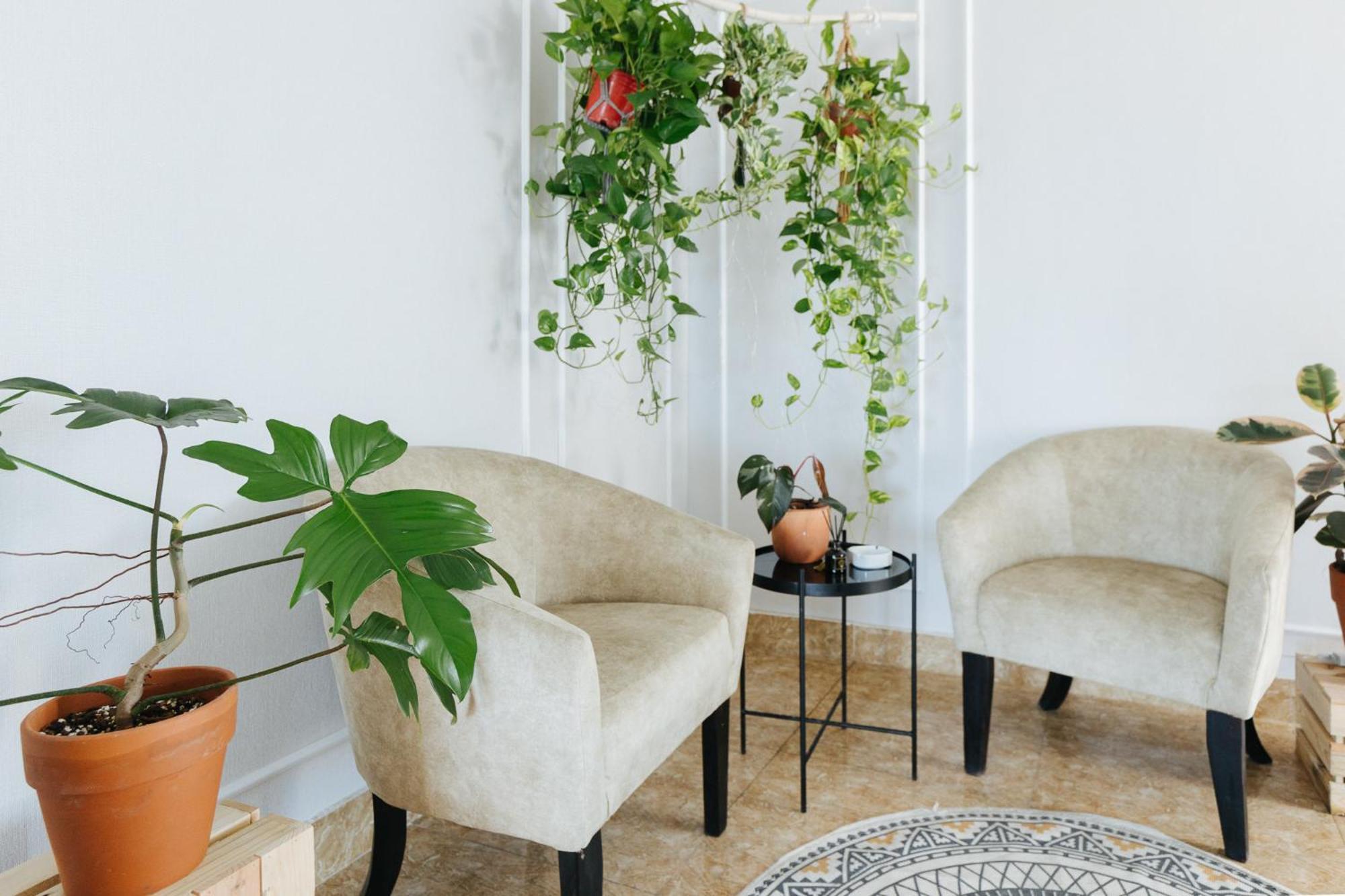 Ivy Hotel & Apartment - Stay 24H Hanoi Buitenkant foto